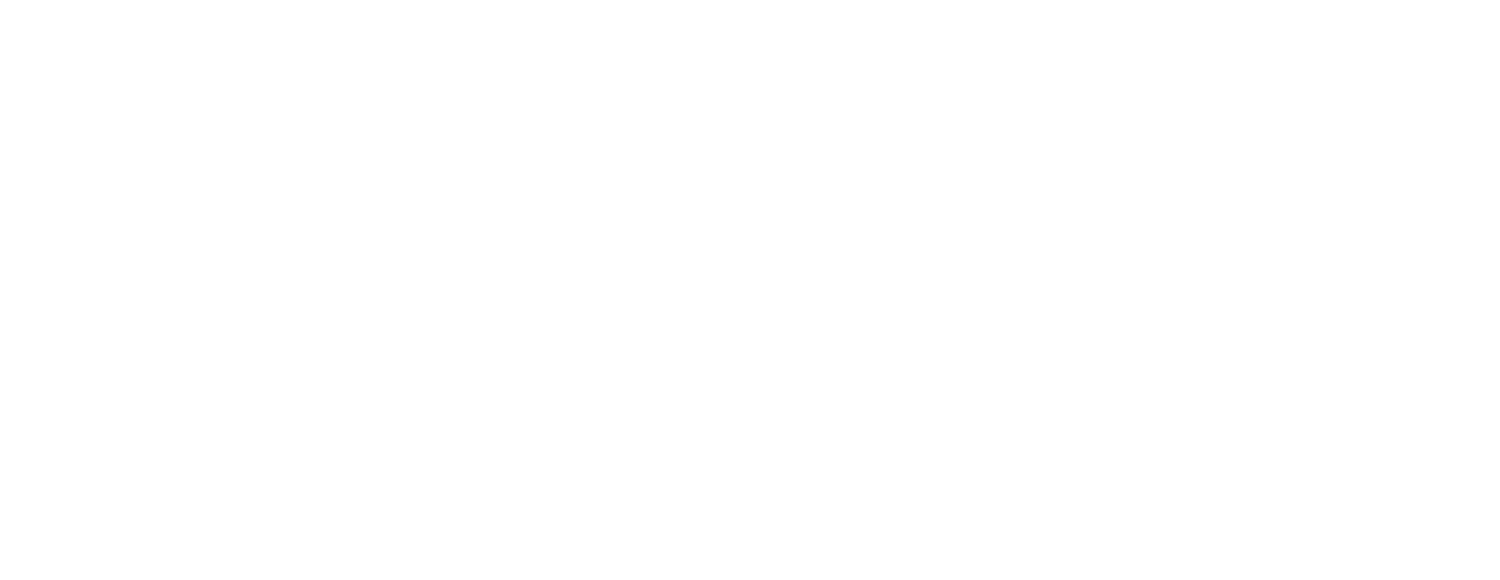 Электронный ПТС